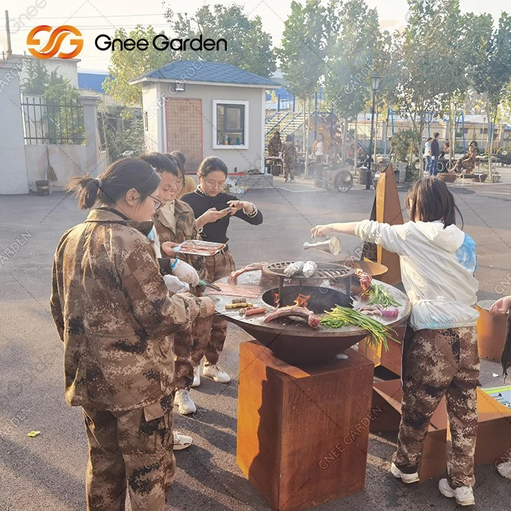 GN-BBQ-209-D 50 GN-BBQ-209-D 50